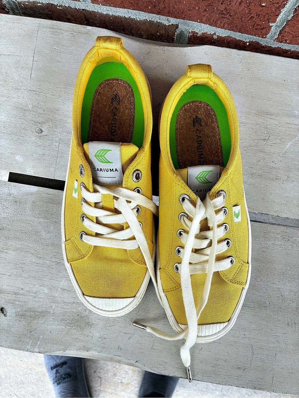 CARIUMA OCA Low Canvas Yellow Sneakers US 7